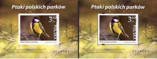 Fi 5215** SIKORKA BOGADKA ND-NOWODRUKI A i B