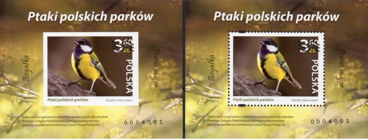 Fi 5215** SIKORKA BOGADKA ND-NOWODRUKI A i B