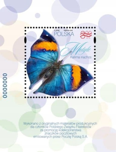 Fi 5372** MOTYLE ND-NOWODRUKI A i B