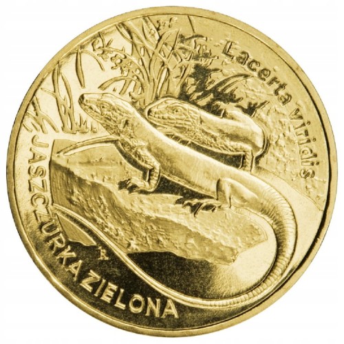 2zł 2009r. JASZCZURKA
