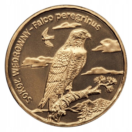 2 ZŁ 2008 SOKÓŁ