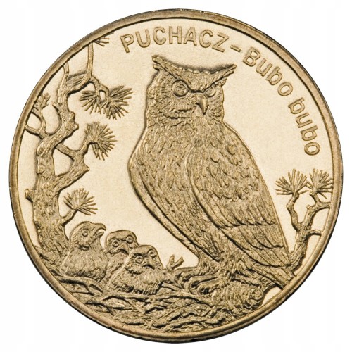 2 ZŁ 2005 PUCHACZ