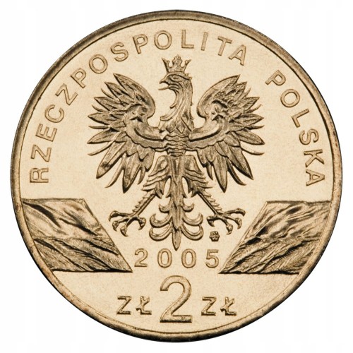 2 ZŁ 2005 PUCHACZ