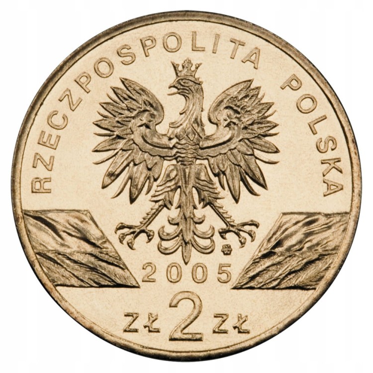2 ZŁ 2005 PUCHACZ
