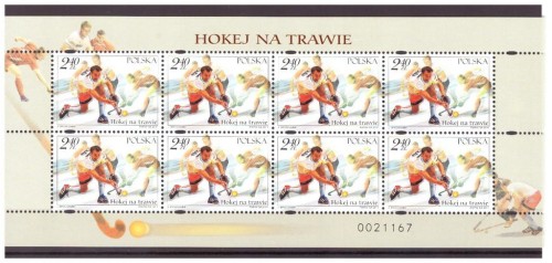 ARKUSZ 4356** HOKEJ NA TRAWIE