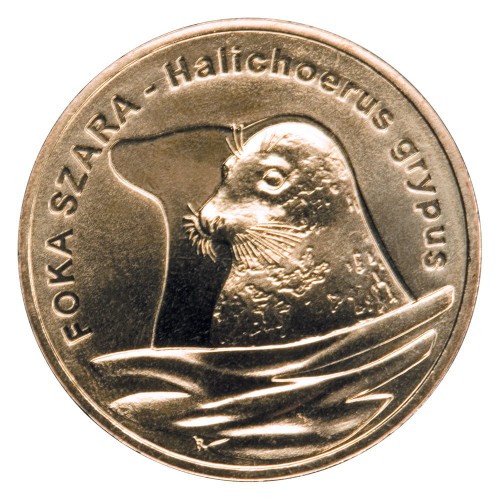 2 ZŁ 2007 FOKA