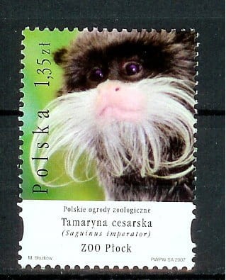 FI 4177** TAMARYNA CESARSKA